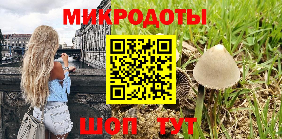 Галлюциногенные грибы мицелий  Галлюциногенные грибы Psilocybine cubensis  Верхняя Пышма  Вход с VPN 
