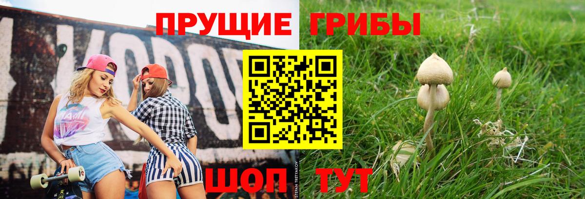 Псилоцибиновые грибы Psilocybine cubensis Верхняя Пышма